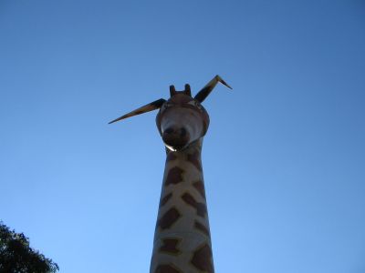 点选图片以查看原图