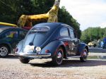 Der vw-resto Galerie Zufallsgenerator | Scene Best Of!