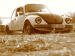 Der vw-resto Galerie Zufallsgenerator | Scene Best Of!