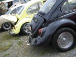 IMG_4061.jpg