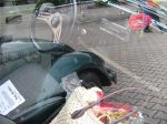 Der vw-resto Galerie Zufallsgenerator | Scene Best Of!